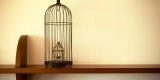The Importance of Cage Placement in Your Home