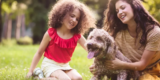 How Can You Keep Your Pet Safe and Comfortable on Outdoor Adventures?
